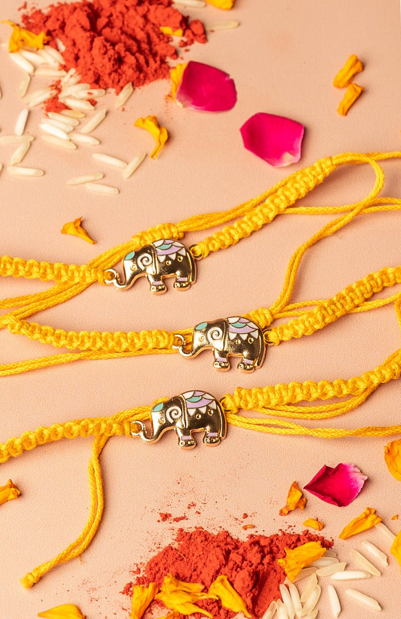 <strong>Sustainable Cloth Hathi Rakhi</strong> <br><i>with Roli & Akshat</i> - Nat Habit