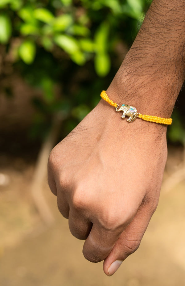 <strong>Sustainable Cloth Hathi Rakhi</strong> <br><i>with Roli & Akshat</i> - Nat Habit