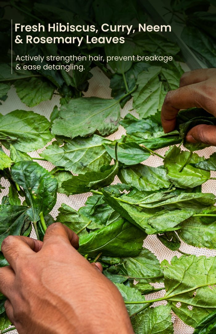 <strong>Tri - Leaf Rosemary Nutri - Conditioner</strong> <br><i> - Nat Habit