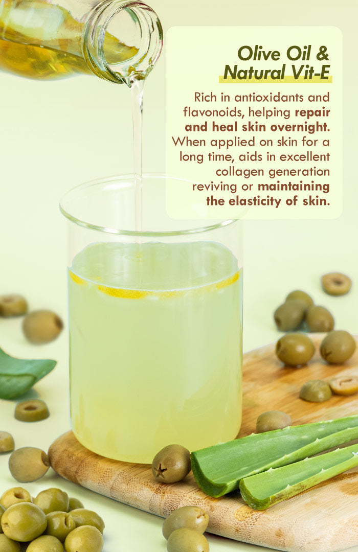 <strong>Fresh Olive Vit-E Night Gel </strong><br><i>Night Restore & Aging Protection</i>