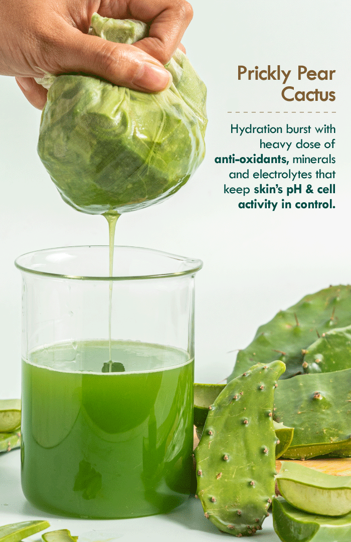 <strong>Active Aloe Cactus Hydra Lift Gel </strong><br><i>Rapid Hydration Boost & Moisture Lock</i> - Nat Habit