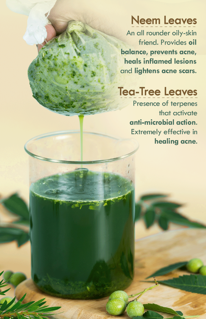 <strong>Active Anti-Acne Neem TeaTree Gel </strong><br><i>for Oily & Acne Prone Skin</i> - Nat Habit