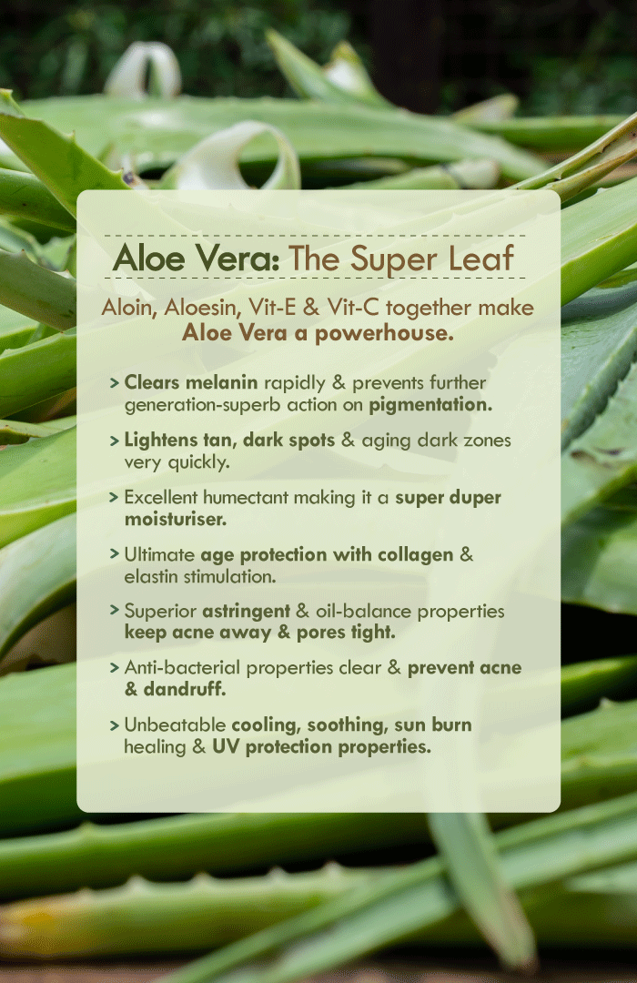 <strong>Active Olive Vit-E Night Gel </strong><br><i>Night Restore & Aging Protection</i> - Nat Habit