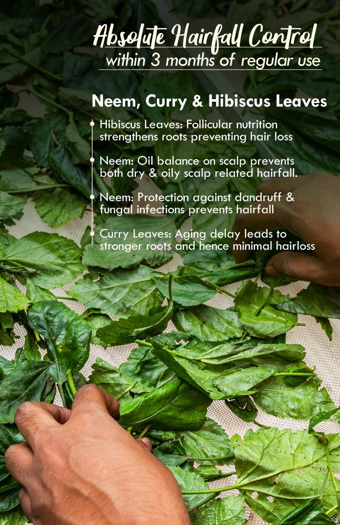 <strong>Crushed Tri-Leaf NutriMask</strong> <br><i>for Hairfall Control</i> - Nat Habit
