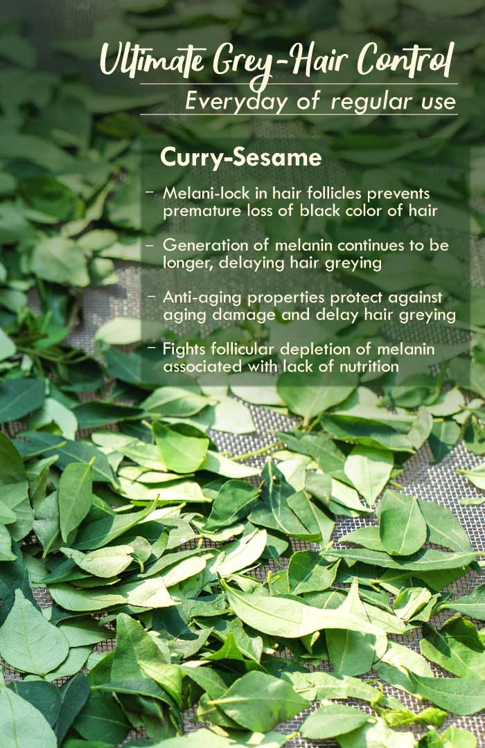 <strong>Curry Sesame Summer Hair Oil</strong> <br><i>Grey-Hair Control</i> - Nat Habit