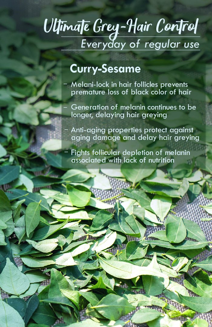 <strong>Curry Sesame Winter Hair Oil</strong> <br><i>Grey-Hair Control</i> - Nat Habit