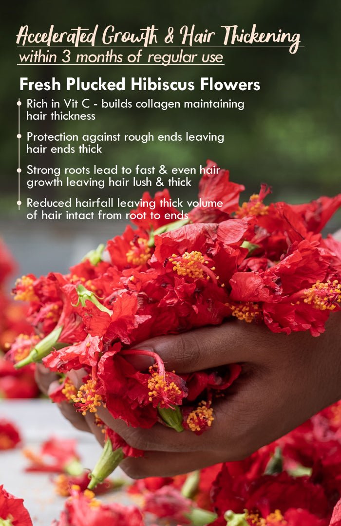 <strong>Five Oil Hibiscus NutriMask</strong> <br><i>for Hair Growth</i> - Nat Habit