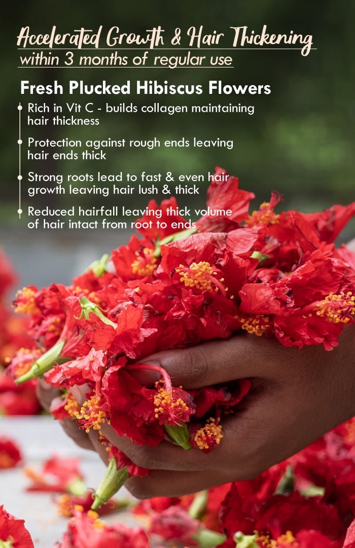 <strong>Five Oil Hibiscus NutriMask</strong> <br><i>for Hair Growth</i> - Nat Habit