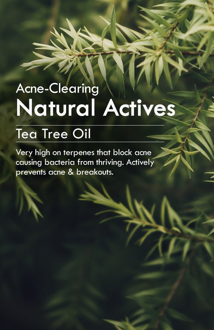 <strong>Fresh Daily Tikta Bitter Neem Cream Face Wash</strong> <br><i>for Normal to Oily Skin</i> - Nat Habit