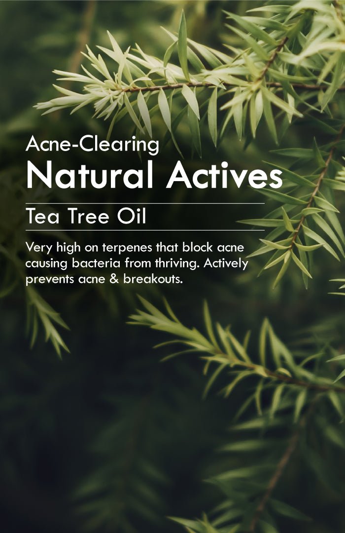 <strong>Fresh Daily Tikta Bitter Neem Gel Face Wash</strong> <br><i>for Normal to Oily Skin</i> - Nat Habit