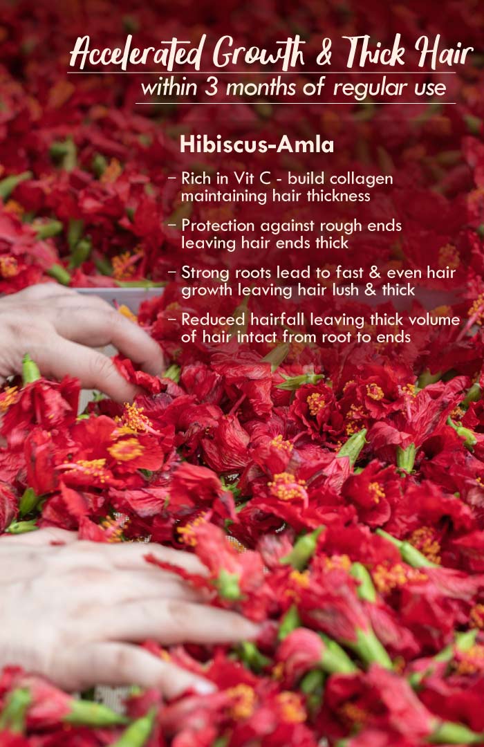 <strong>Hibiscus Amla Summer Hair Oil</strong> <br><i>Accelerated Hair Growth</i> - Nat Habit