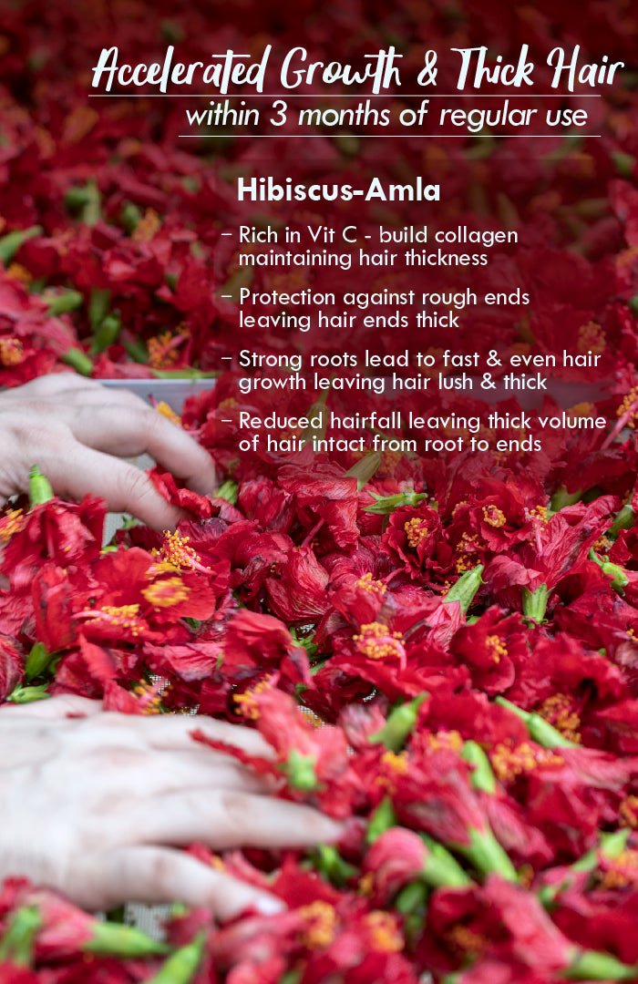 <strong>Hibiscus Amla Winter Hair Oil</strong> <br><i>Accelerated Hair Growth</i> - Nat Habit
