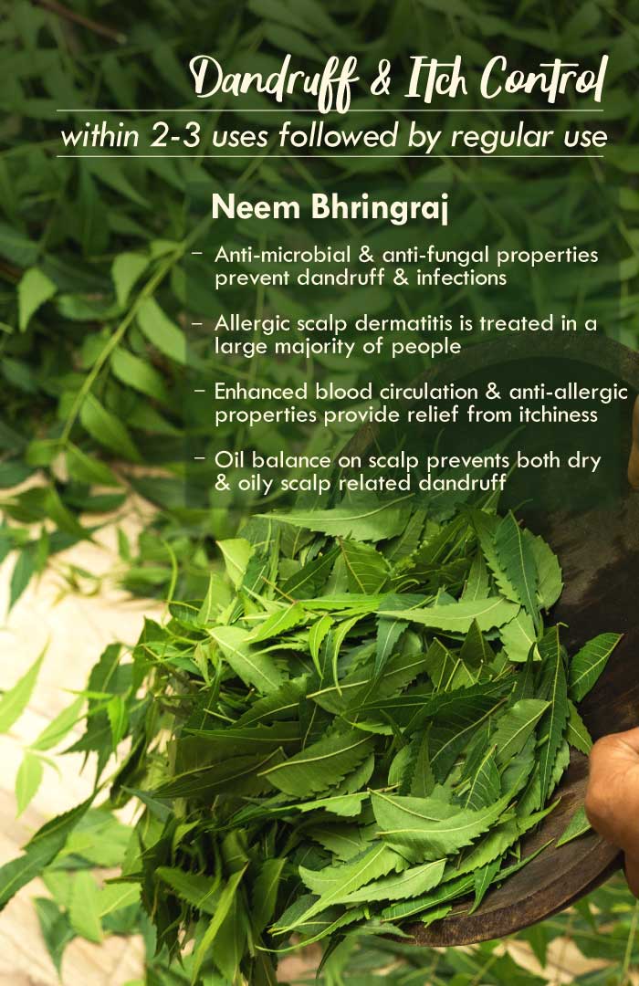 <strong>Neem Bhringraj Summer Hair Oil</strong> <br><i>Anti-Dandruff Blend</i> - Nat Habit