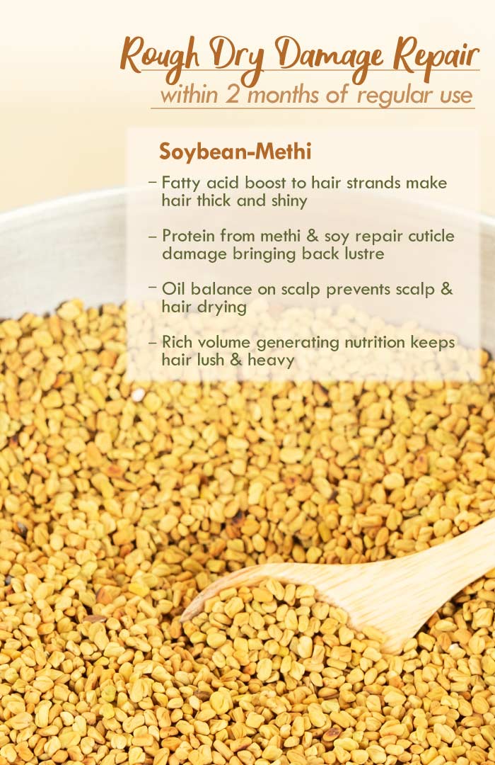 <strong>Soybean Methi Summer Hair Oil</strong> <br><i>Rough Dry Damage Repair</i> - Nat Habit