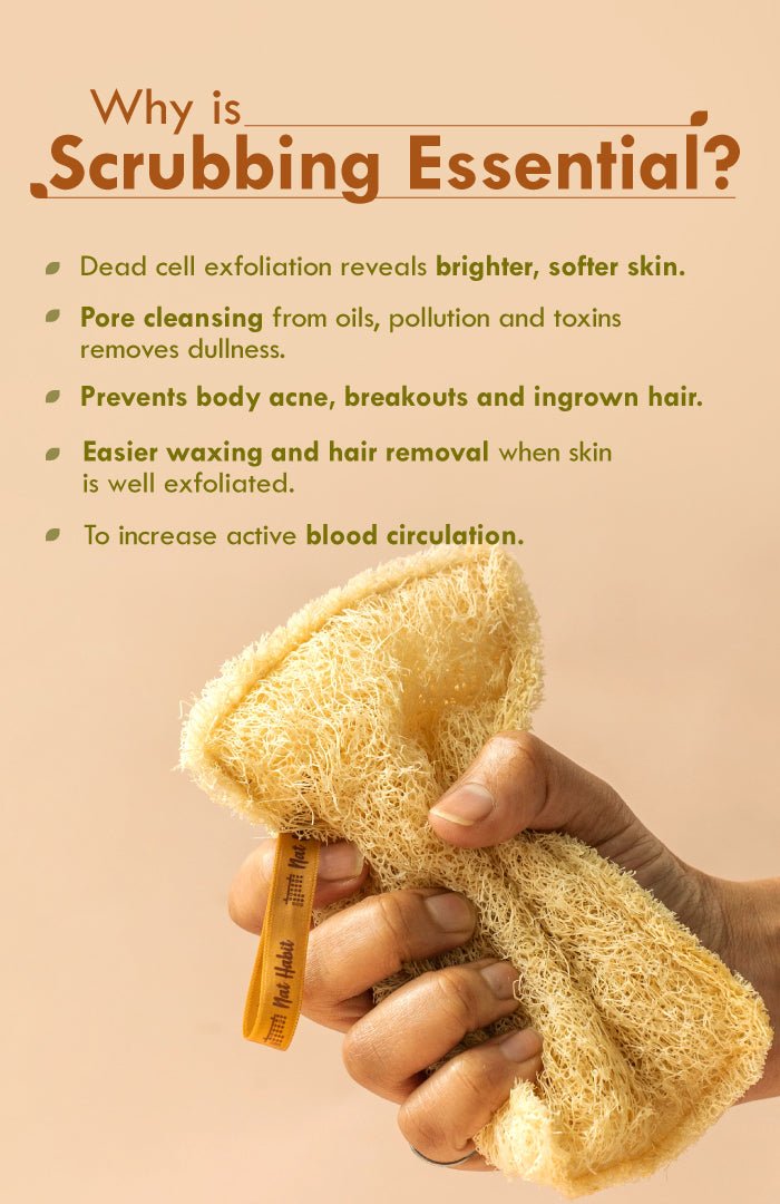 <strong>Sun Dried Loofah</strong> <br><i>Twin Pack</i> - Nat Habit