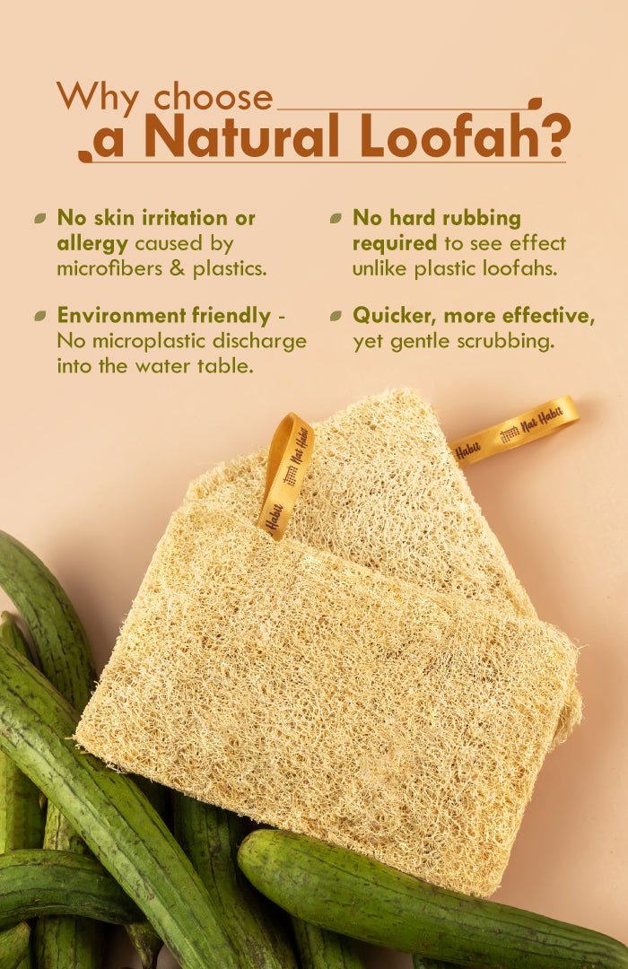 <strong>Sun Dried Loofah</strong> <br><i>Twin Pack</i> - Nat Habit