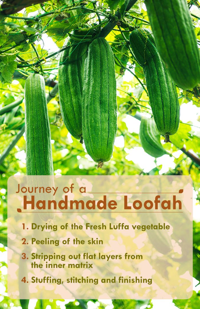 <strong>Sun Dried Loofah</strong> <br><i>Twin Pack</i> - Nat Habit