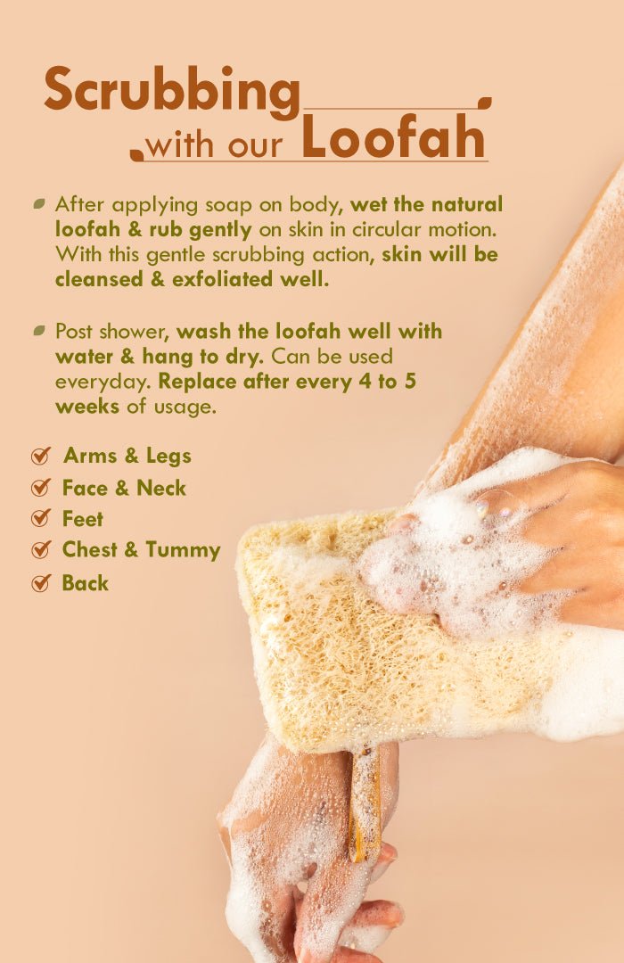 <strong>Sun Dried Loofah</strong> <br><i>Twin Pack</i> - Nat Habit